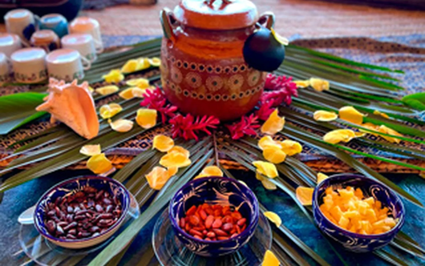 whats-included-cacao-1440x900-1-perf-v1.webp Ceremonial cacao surrounded by flowers and traditional ingredients