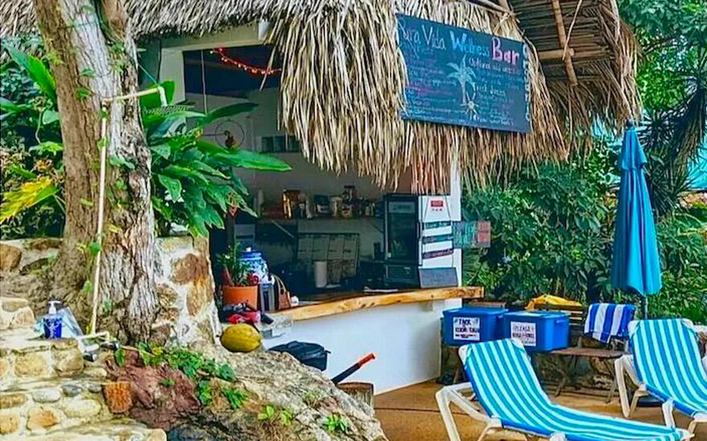 smoothie-bar-card-popup-1440x900-perf-v1.webp The tropical Pura Vida water bar beside striped lounge chairs